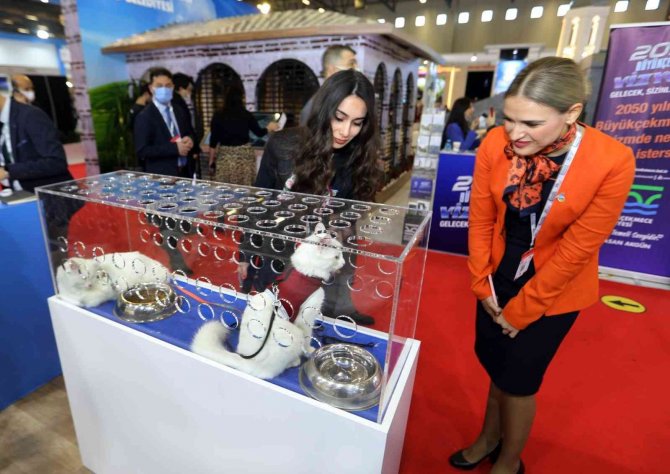 Van, Emıtt Fuarı’ndaki Yerini Aldı