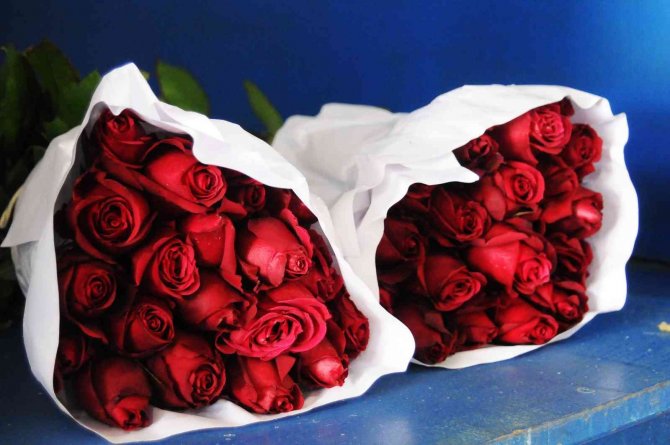 Sevgililer Günü’nde Gülün Fiyatı El Yakacak