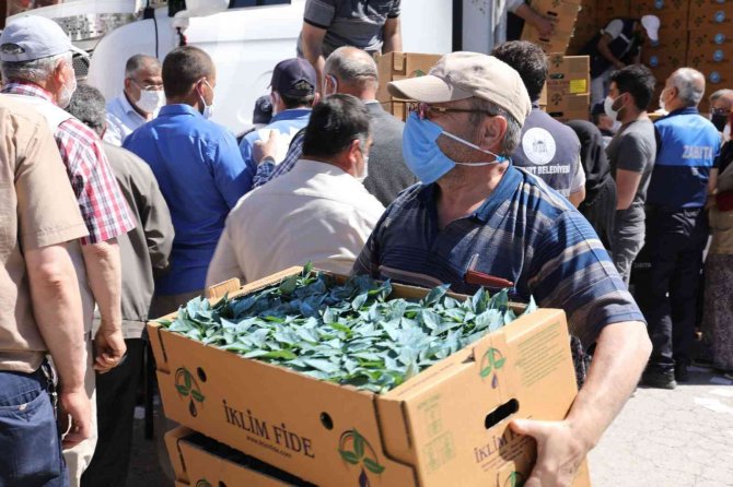Akyurt’ta Sebze Fidesi Desteğinde Başvurular Başlıyor