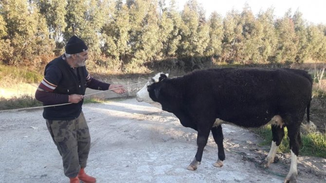 Ateş Savaşçıları Bu Defa Buz Gibi Suda Can Kurtarmak İçin Seferber Oldu