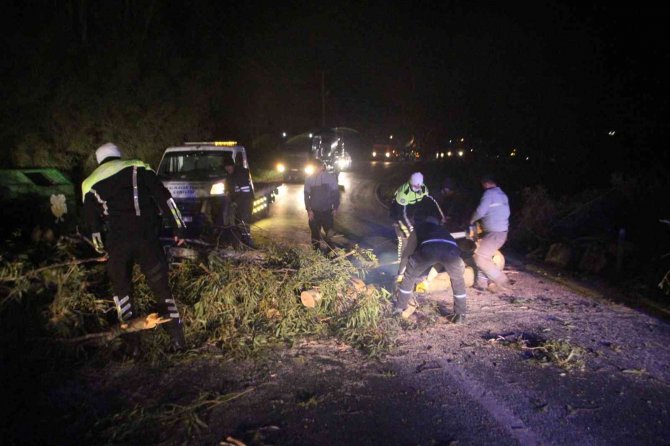 Bodrum’da Yıkılan Ağaçlar Yolları Kapattı