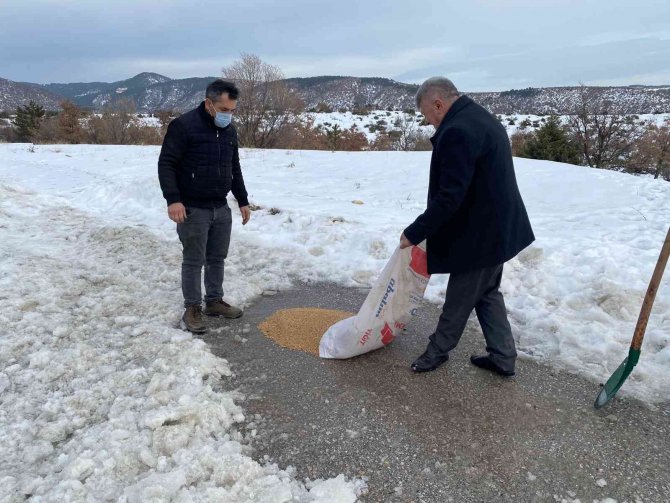 Yaban Hayvanları İçin Doğaya Yem Bırakıldı