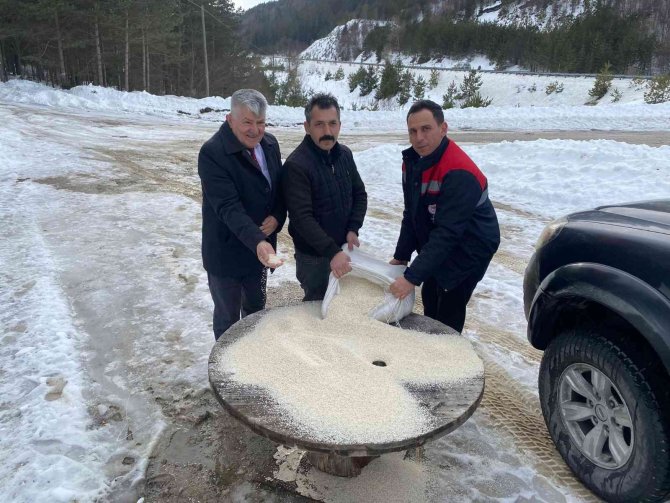 Yaban Hayvanları İçin Doğaya Yem Bırakıldı