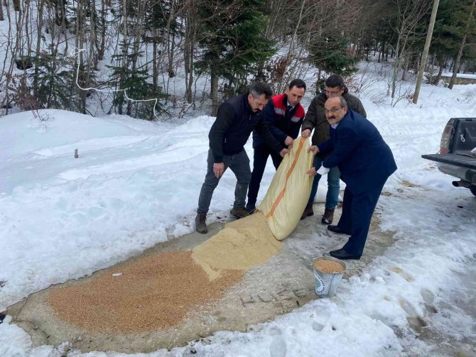 Yaban Hayvanları İçin Doğaya Yem Bırakıldı