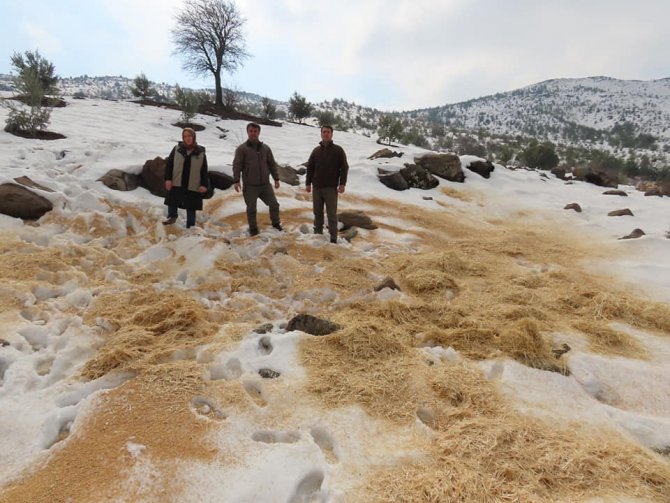 Yaban Hayvanları İçin Doğaya Yem Bıraktılar