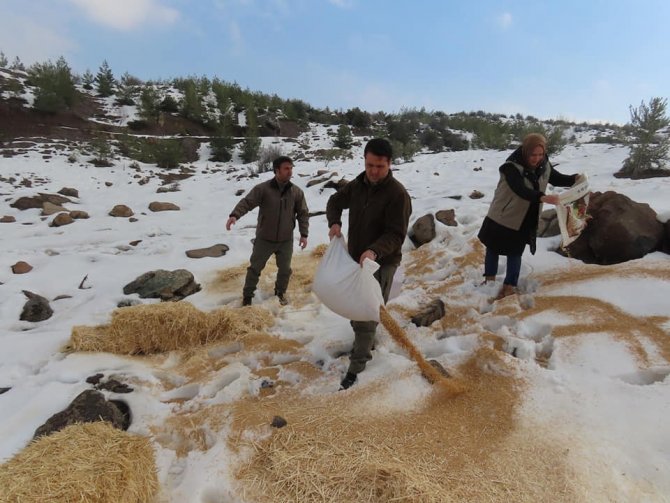 Yaban Hayvanları İçin Doğaya Yem Bıraktılar