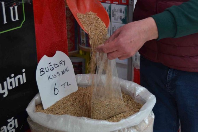 Zamlardan Kuşlar Da Nasibini Aldı