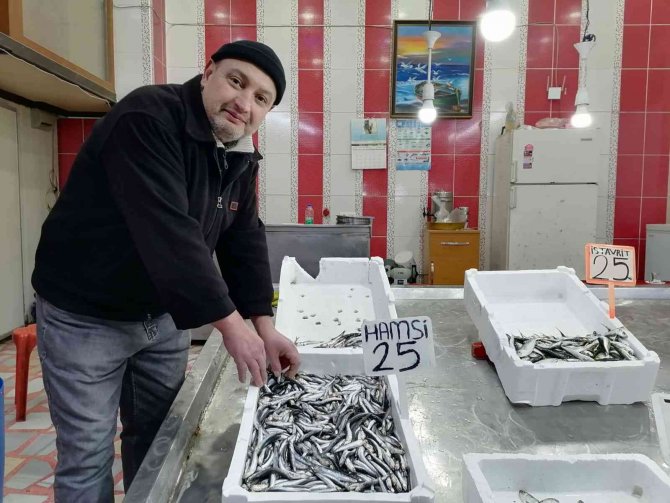 Tezgahlarda Hamsi Bereketi