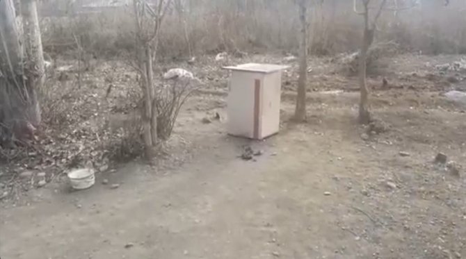 Iğdır’da Köye İnen 6 Aç Kurt, Köpeği Parçaladı