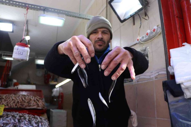 Kulağına Kar Suyu Kaçan Hamsiye Vatandaştan Yoğun Talep