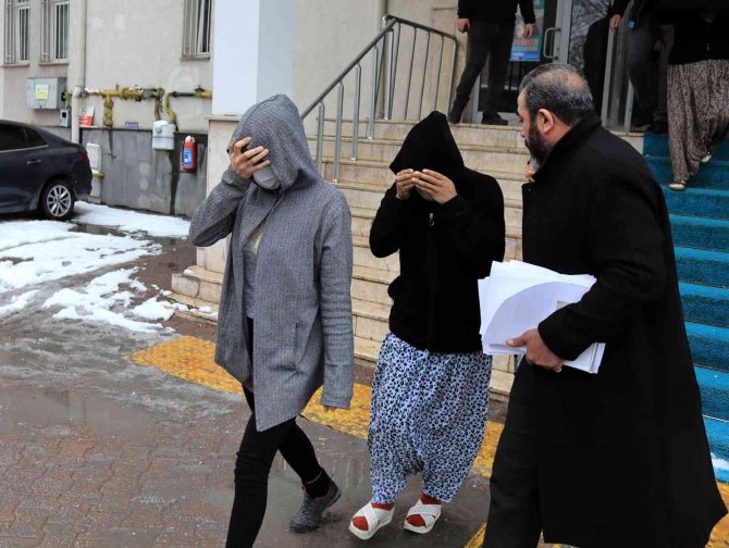 Ev Ve İş Yeri Fareleri Yakalandı