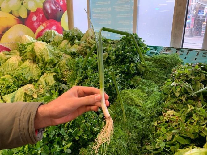 Taze Soğanın Tek Bir Dal Fiyatı Nerdeyse 1 Lirayı Buldu