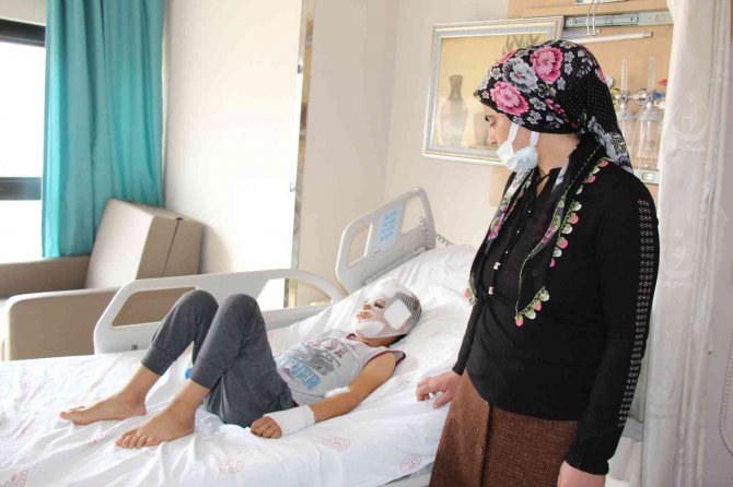 Mardin’de Sokak Köpeklerinin Saldırısına Uğrayan Çocuk Konuştu