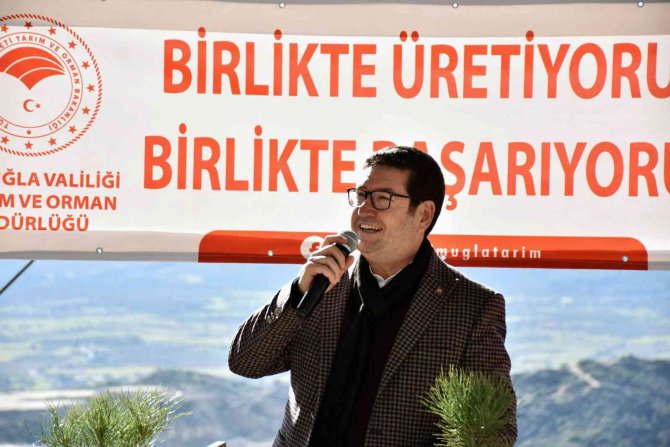 Bin Adet Çam Fıstığı Dağıtıldı