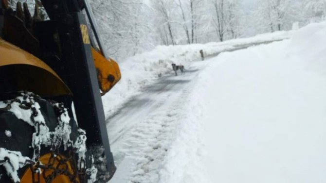 Kar Sebebiyle Kapanan 63 Mahalledeki Okul Yolları Açıldı