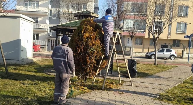 Sincan Bahara Hazırlanıyor