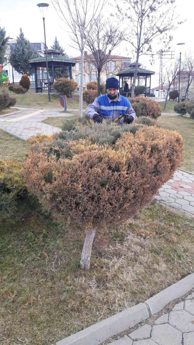 Sincan Bahara Hazırlanıyor
