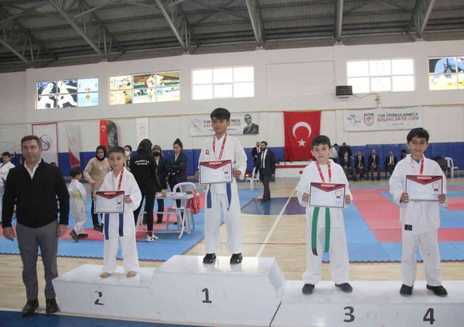 Karatede Madalyalar Sahiplerini Buldu