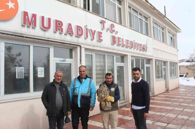 Yaralı Puhuya Belediye Ekipleri Sahip Çıktı