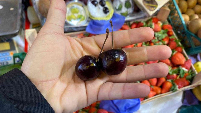 Paketi 50 Liradan Tezgahta Yerini Aldı, Şifa Deposu Kiraz İlgi Görüyor