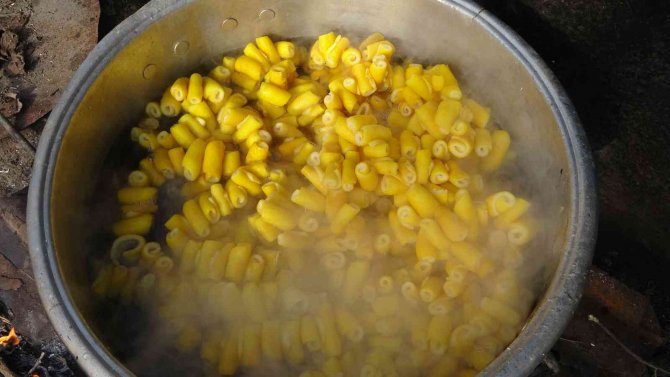 Dalında 1 Lira, Tatlısı 50 Lira