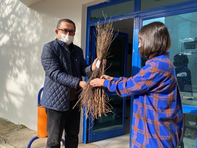 Antalyalı Çiftçilere Ceviz Ve Meyve Ağacı Fidanı Dağıtımı