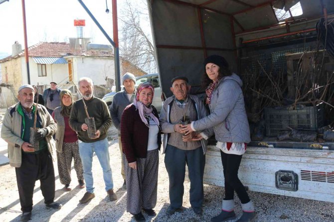 Antalyalı Çiftçilere Ceviz Ve Meyve Ağacı Fidanı Dağıtımı