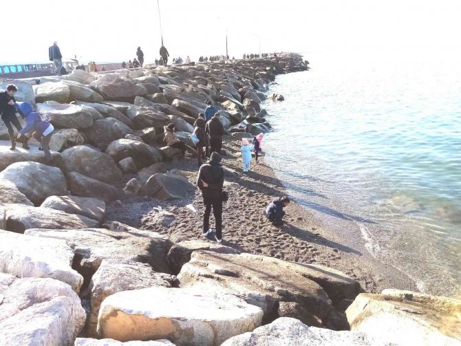Jeoloji Mühendisi Aykan, Marmara’daki Deniz Suyu Çekilmesini Değerlendirdi