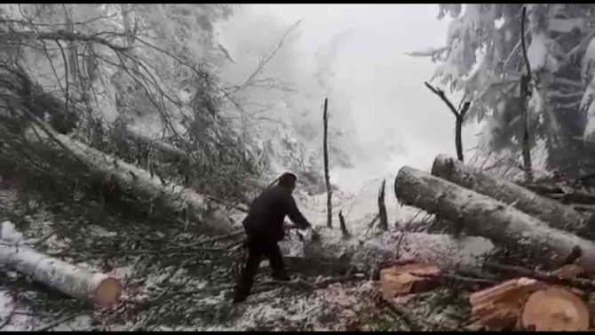 Kar Ve Rüzgardan Yola Devrilen Ağaç Kesilerek Kaldırıldı