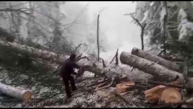 Kar Ve Rüzgardan Yola Devrilen Ağaç Kesilerek Kaldırıldı