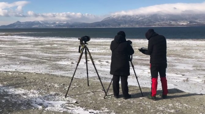 Göller Bölgesinde Ocak Ayında 298 Bin 445 Adet Su Kuşu Tespit Edildi