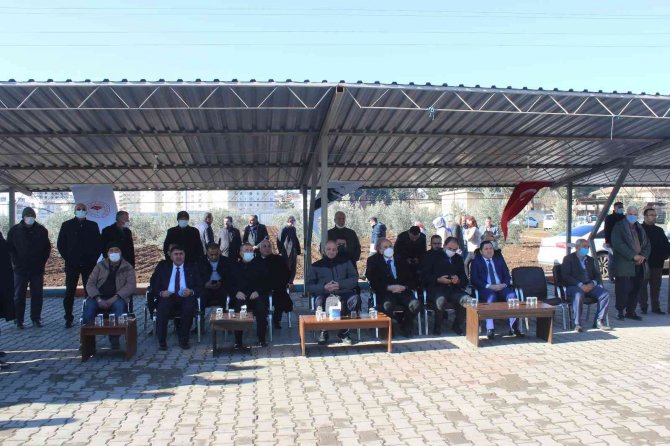 Zeytin Üreticisine Devlet Desteği Sürüyor