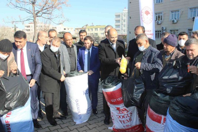 Zeytin Üreticisine Devlet Desteği Sürüyor