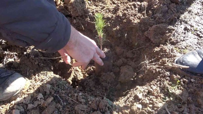 112 Fidan 112 Saniyede Toprakla Buluşturuldu
