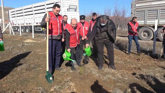 112 Fidan 112 Saniyede Toprakla Buluşturuldu