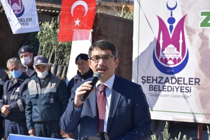 Şehzadeler Belediyesi 20 Bin Zeytin Fidanı Dağıttı