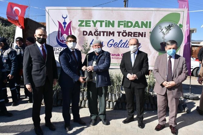 Şehzadeler Belediyesi 20 Bin Zeytin Fidanı Dağıttı