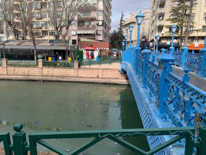 Kirliliği Görünce Çektiği Fotoğrafları Paylaşmaktan Vazgeçti