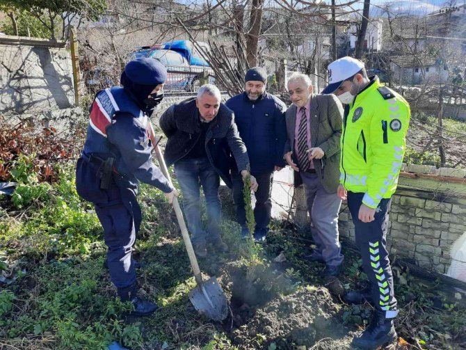 Şehit Babası 3 Binin Üzerinde Fidan Dikti