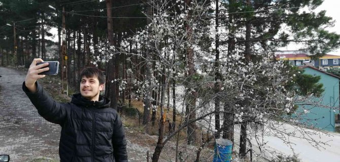 Tokat’ta Erik Ağacı Kış Mevsiminde Çiçek Açtı