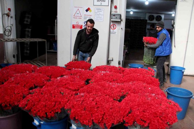 Kesme Çiçek Sektöründe Sevgililer Günü Bereketi