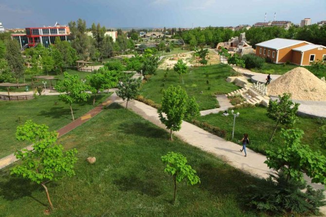 Kampüs Alanına 3 Yılda Yaklaşık 10 Bin Fidan Dikildi