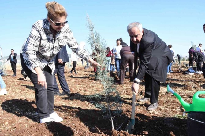 Kampüs Alanına 3 Yılda Yaklaşık 10 Bin Fidan Dikildi