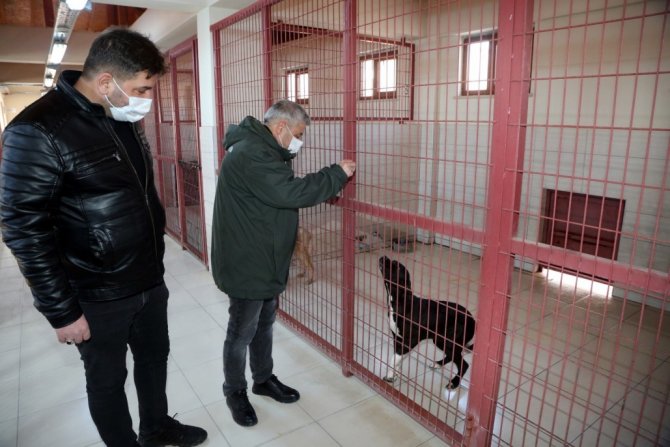 Elazığ Belediyesi Hayvan Bakım Evi Ziyarete Açılıyor