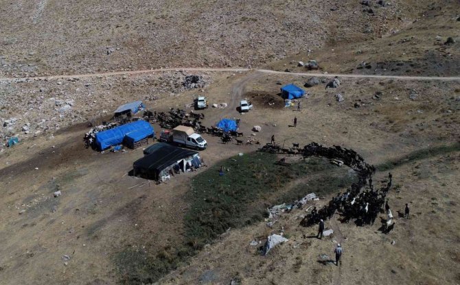 Konyaaltı, Hayvancılıktaki Uygulamalarıyla Türkiye’ye Örnek Oldu