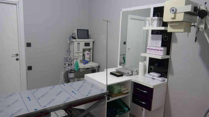 Mardin’in İlk Hayvan Hastanesi Açıldı