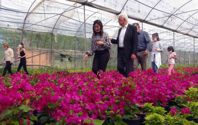 Muğla’da Üretilen Çiçekler 25 İlin Sokaklarını Süslüyor