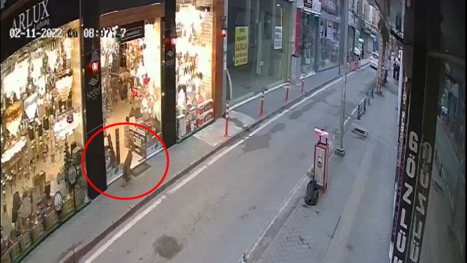Samsun Şehir Merkezinde ’Tilki’ Paniği