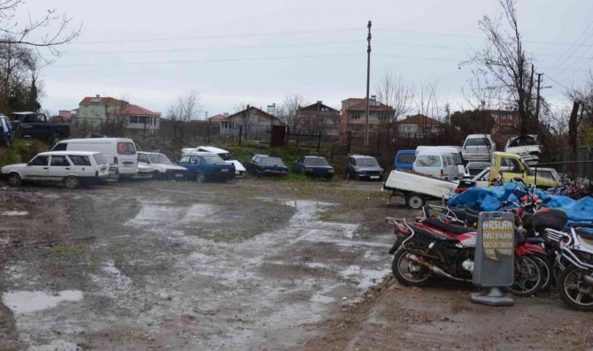 Yediemin Parkından 25 Araç Çalındı
