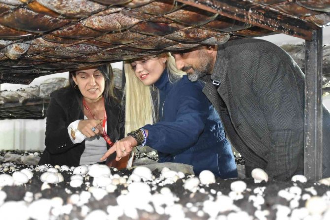 Tarsus’ta Mantar Yetiştirme Kursu 250 Kişiye Yeni İş Kapısı Açtı